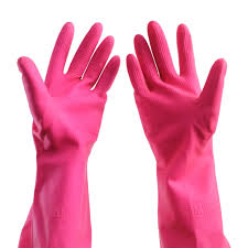 Wbm Household Gloves L