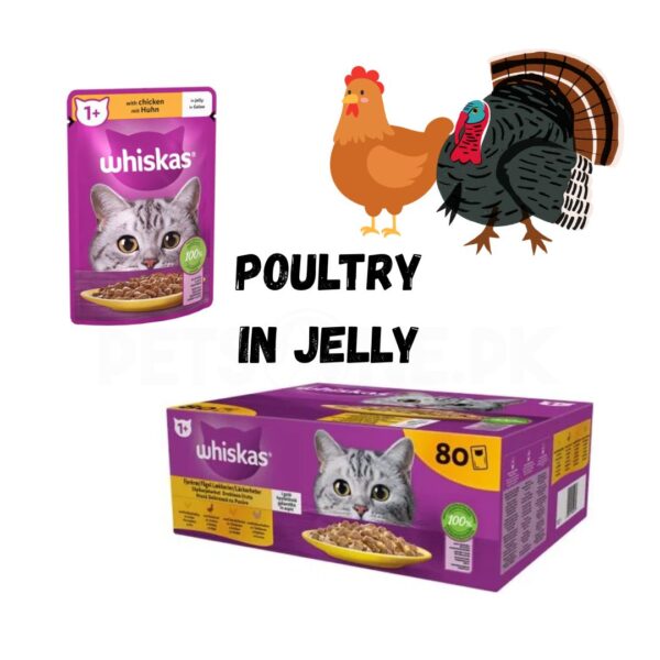 WHISKAS-Jelly-8085-Gram-Pouch-1 WHISKAS-Jelly-8085-Gram-Pouch-1