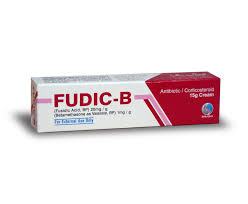 Fudic B CREAM 15G