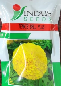 DRS Plus Tennis Ball