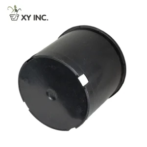 Plastic Container. 3L