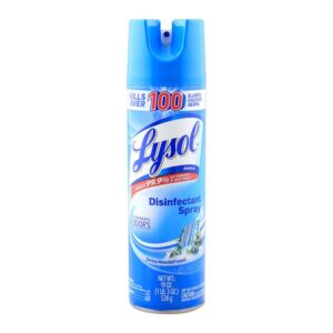 Lysol Disinfectant Spray 538g Spring Wf