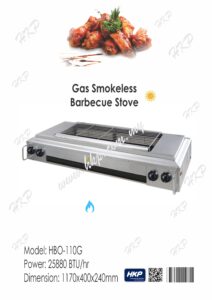 Mp 110g Bbq