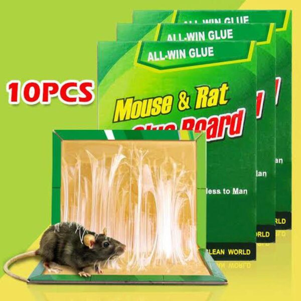 21000000000268_mouse-trap-glue