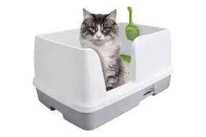 Cat Litter Tray Med
