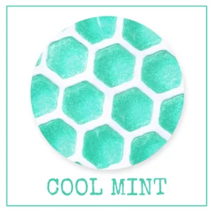Ob Paste 100ml Cool Mint