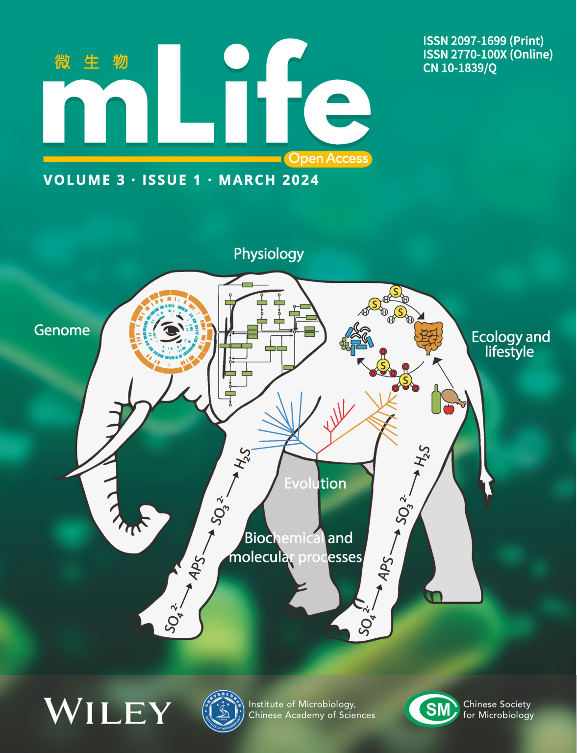 2806_mlife-liq-passion-1.png