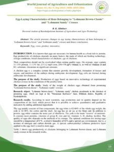 Lohmann Brown Eggs 6s