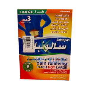 Salonpas Pain Relieve Patch 10s