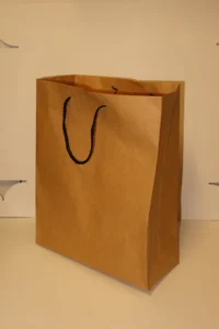 Gift Bag Large 10/16