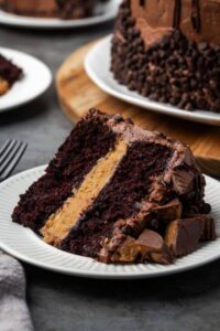 Reeses Cakes 046g 3s