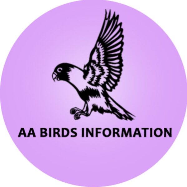 3462275558_aa-birds-small-1kg