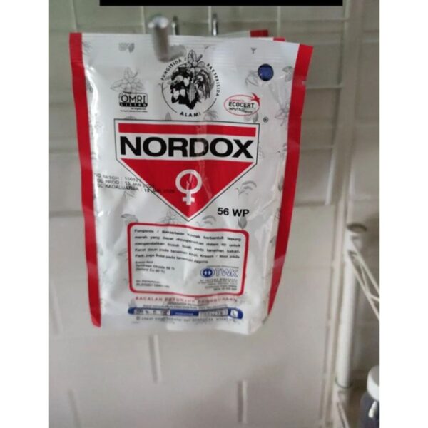 3693_nordox-100mg