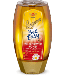 Langnese Honey 250g