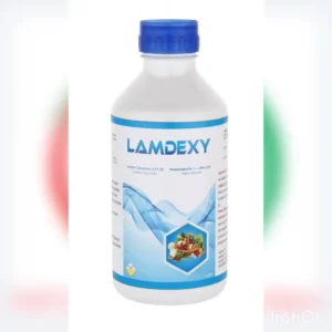 Bph Sg 250ml Joy&Jasmine