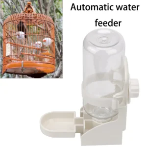 Pigeon Feeder 250ml Turtle