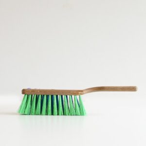 Carpet Brush