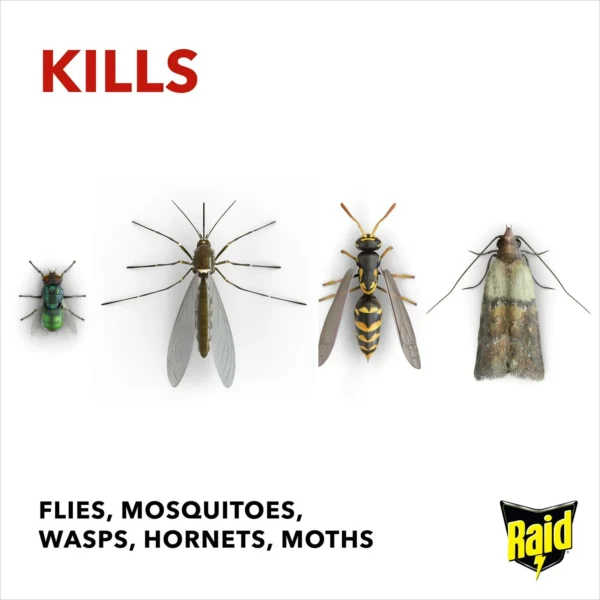 5000204795370_raid-spray-300ml-fly-wasp-killer