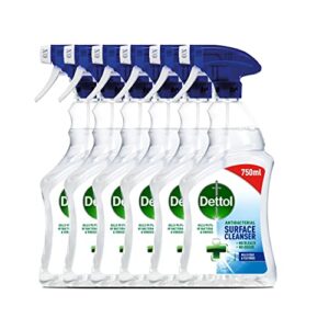 Dettol Trigger Ab Sc 750ml