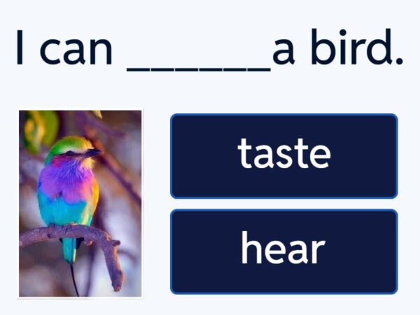 5060360644424_senses-hw-500ml-stb