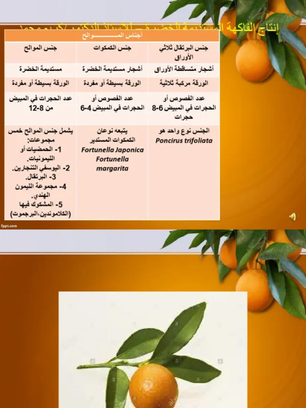 6068357302912_pp-dw-275ml-citrus