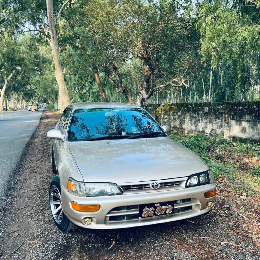 653233833725_platinum-queen-black