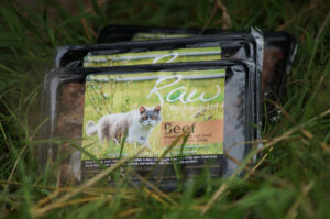 Groove Cat Food 1.2kg Beef