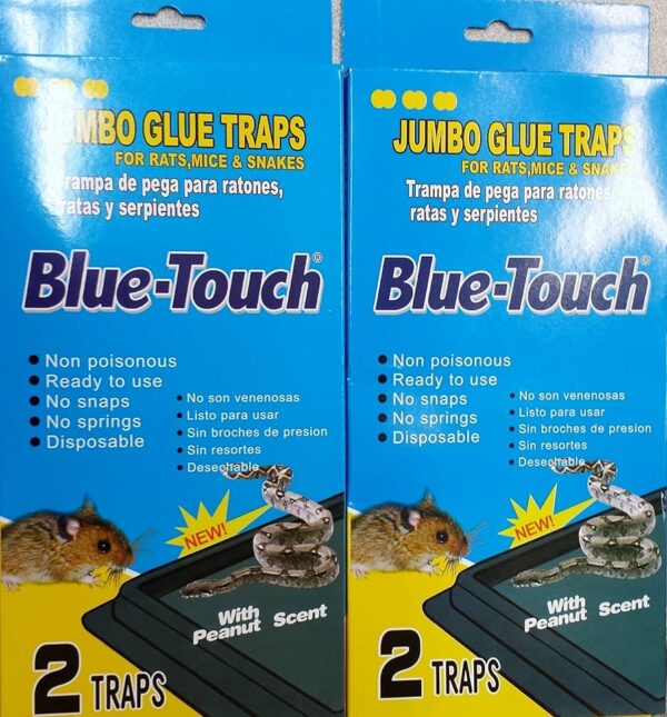 6931492322032_blue-touch-mouse-trap-glue-j