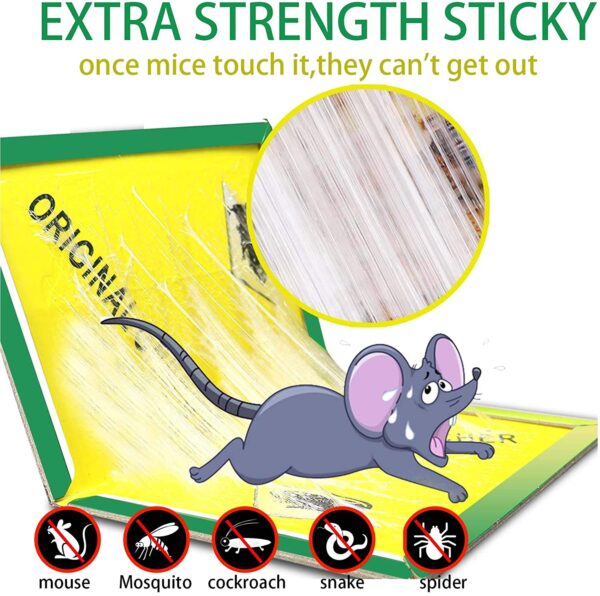 6931492322124_happy-mouse-trap-glue-l