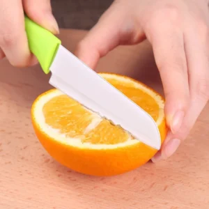 Fruit Knife Plastic Handle