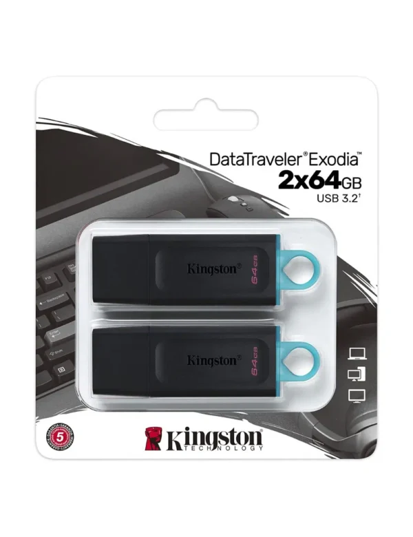 740617309829_kingston-flash-drive-064gb