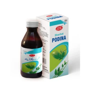 PODINA SYP 240ml
