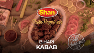Shan Sp Bihari Kabab