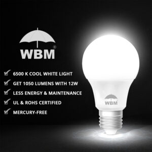 Wbm LED Bulb Cool White 12w