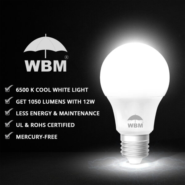 840162305274_wbm-led-bulb-cool-white-12w