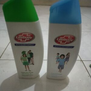 Lifebuoy Sg 300ml Natural
