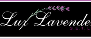 Lux Hw Lavender 220ml