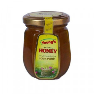 Youngs Honey 450g