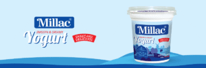 Millac Plain Yogurt 200g