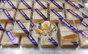 Pop Bar Honey Comb 125ml