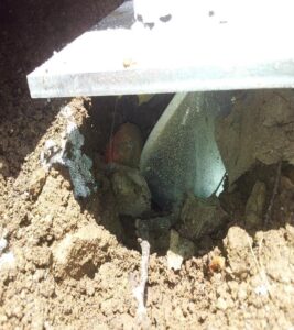 SB Spiral Extreme 6s