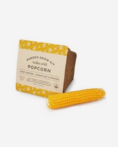 Pn Popcorn Cinema 60g