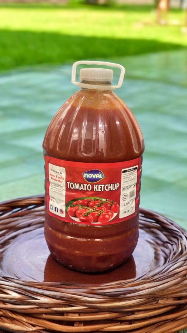 8999979032209_ketchup-bottle-s-noval