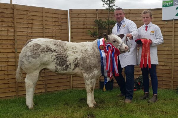 NOSKU_pedigree-01s-mj