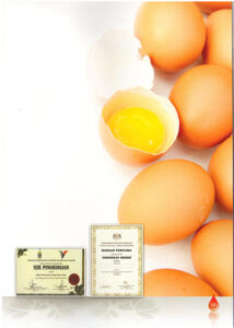 Sh DF 500g Chicken Egg