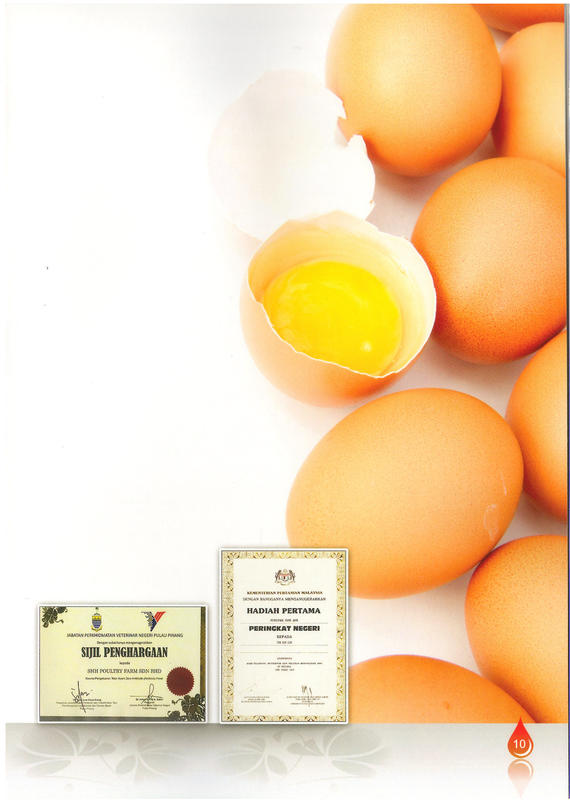 NOSKU_sh-df-500g-chicken-egg NOSKU_sh-df-500g-chicken-egg