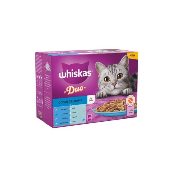 xr:d:DAFsG3zmpkg:18,j:6835738672998443722,t:23082019