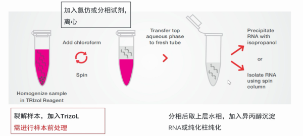 NOSKU_xcanbebe-ep-5-28s