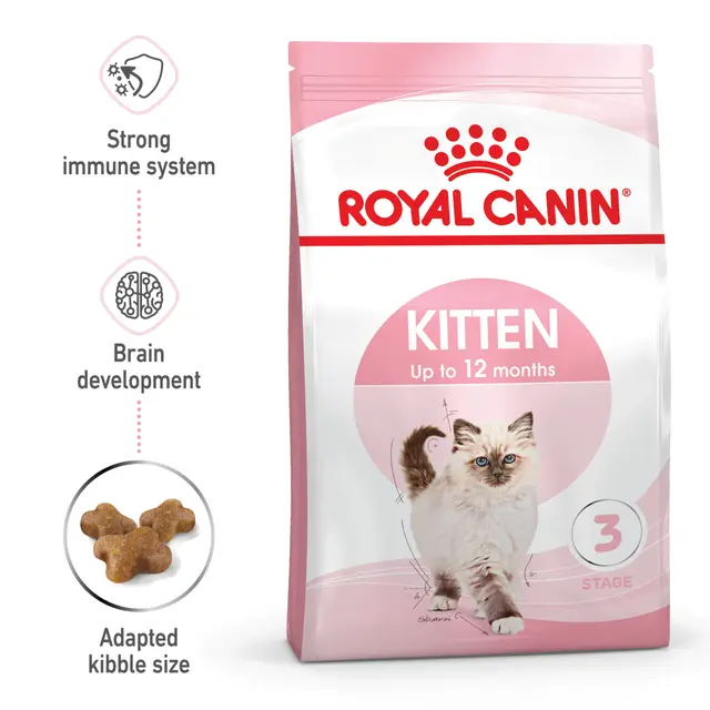 9992565_rc-400g-kitten 9992565_rc-400g-kitten